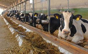 imagine-articol_34713