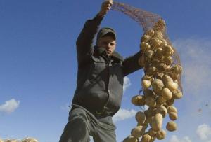 imagine-articol_34726