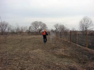 imagine-articol_34728