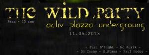 Wild Party in demisolul Activ Plazza Zalau