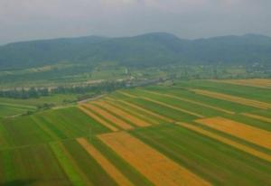 Guvernul si Ministerul Agriculturii nu sustin  Legea comasarii terenurilor