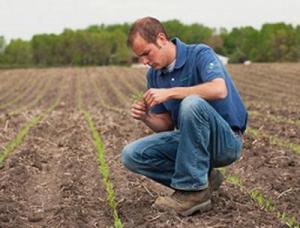 Tinerii care vor sa lucreze in agricultura vor primi 50 de hectare de teren gratuit