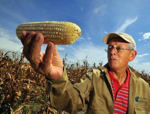 Concurs sau ordin de ministru pentru sefia oficiilor agricole?