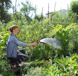 Lucrari agricole la sfarsit de iulie