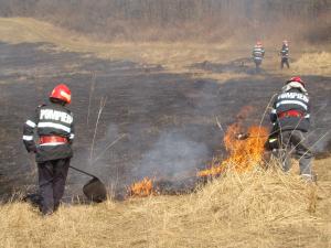 Doua incendii de vegetatie intr-o zi