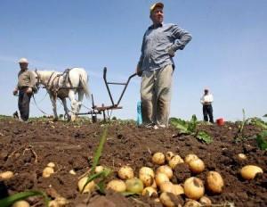 Camerele Agricole Judetene, sub semnul incertitudinii