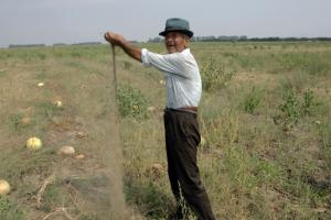 Incercare de a incetini invazia strainilor pe terenurile agricole