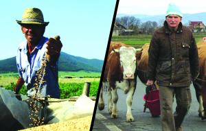 Cu agricultura din Salaj nu poti face un cozonac bun