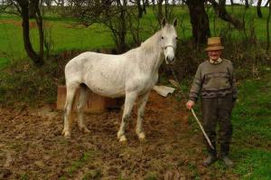 imagine-articol_37259