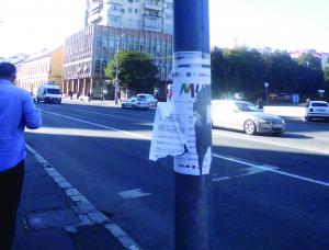 imagine-articol_37283