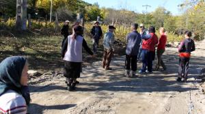 Greco-catolicii din Pausa si ortodocsii din Agrij sunt in razboi pentru padure