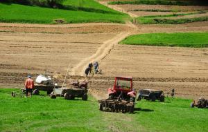 Europenii refuza conditiile Romaniei pentru vanzarea terenurilor agricole