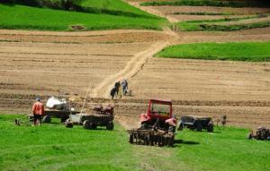 Taranii sunt chemati sa plateasca impozitul pe venitul din agricultura