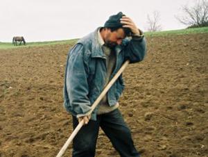 Balbaieli si bajbaieli cu si despre Camera Agricola Judeteana