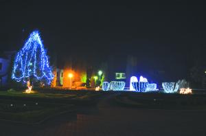 Gradina Botanica din Jibou primeste colindatori intr-o feerie de lumini