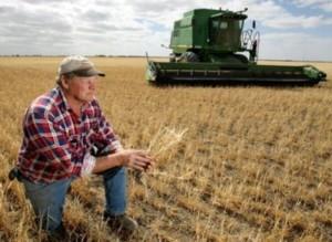 Fiscul cere plata impozitului pe veniturile agricole pana la 16 decembrie