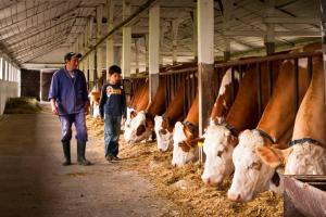 Camera Agricola a Judetului Salaj si-a ales, vineri, conducerea