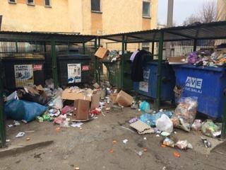 in-zalau-cresc-mormanele-de-gunoi-noua-firma-de-colectare-deseurilor-si-a-inceput-activitatea-cu-stangul21_54620