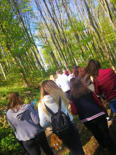 inceput-in-forta-in-proiectul-prefecturii-de-plantare-5000-de-copaci-p43_59690