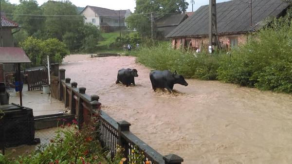 Inundatii devastatoare pe raza comunelor Creaca, Romanasi si Treznea