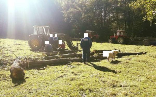 Jandarmii salajeni amuza natiunea  blurand intr-o poza fata unui caine  prins la furat alaturi de stapanul lui