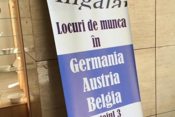 judecat-dupa-ce-luat-bani-de-la-oameni-pentru-contracte-de-munca-fictive-in-germania010_55478