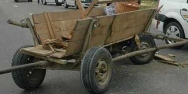 la-varsolt-un-sofer-din-alba-lovit-o-caruta-in-care-se-afla-un-carutas-beat02_58056