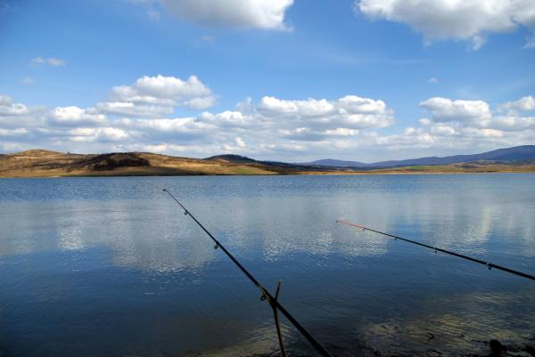 nivelul-de-trai-occidental-intra-in-salaj-prin-virsolt5_58739