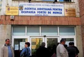 nu-sunt-angajati-nici-jumatate-din-salajenii-apti-de-munca0_58252