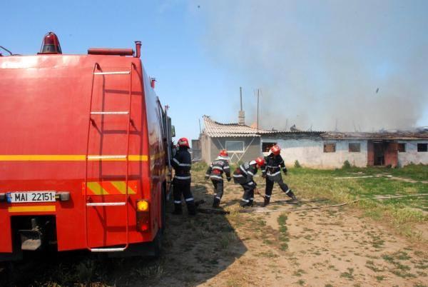 O ferma de vaci din Borla  a fost cuprinsa de flacari