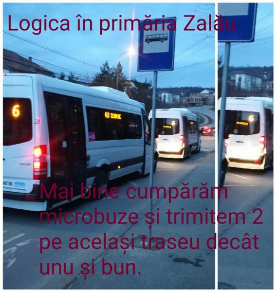 parada-microbuzelor-noi-cumparate-de-transurbis0_59237