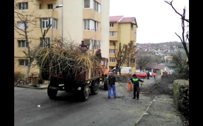 Pe hartie avem planuri pentru reducerea nivelului de poluare in Municipiul Zalau