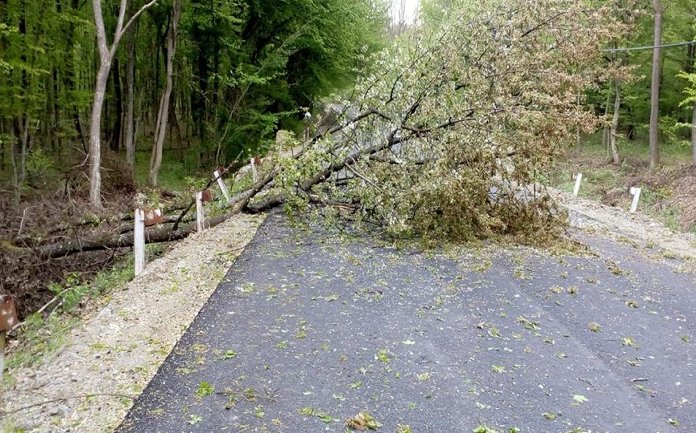 Pompierii au fost solicitati in mai multe localitati din judet din cauza vantului puternic