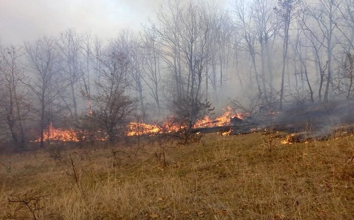 Pompierii salajeni au intervenit la 15 misiuni in acest sfarsit de saptamana