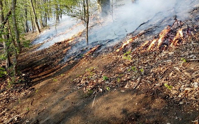 Pompierii solicitati la stingerea unui incendiu de vegetatie