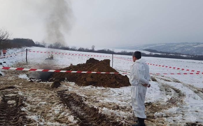 Prefectura a anuntat inchiderea focarului de pesta porcina din localitatea Preoteasa