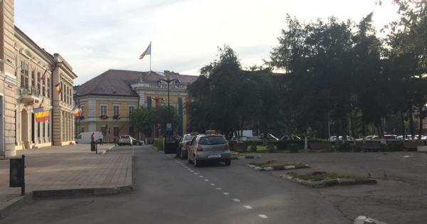 Primaria Zalau aduce clarificari cu privire la taierea arborilor din zona centrala