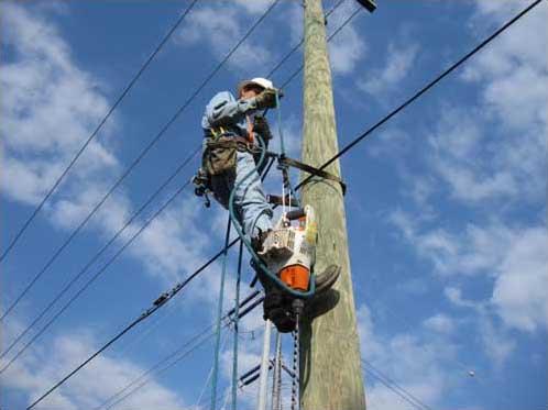 primaria-zalau-primeste-cinci-milioane-de-euro-de-la-ue-pentru-ilumina05_58961