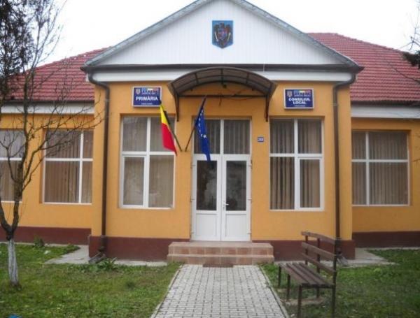 ramas-in-cercetare-doar-cazul-de-la-babeni-unde-psd-pierdut-primaria-la-numai-3-voturi0_58726