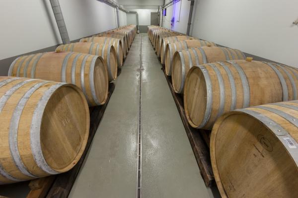 salajul-este-pe-cale-sa-devina-tinutul-sampaniilor-de-calitate010_56617