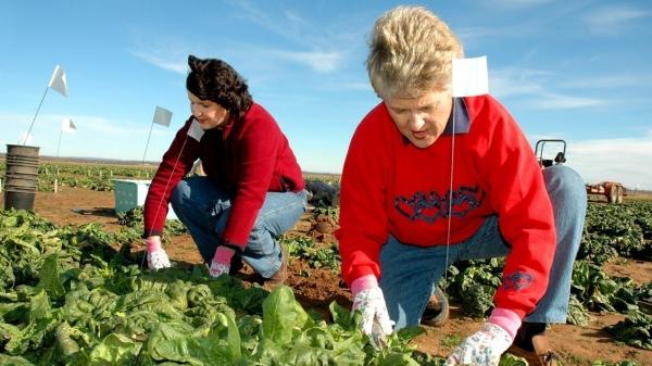 salajul-pierde-in-fiecare-luna-75-de-locuitori-care-pleaca-din-tara-in-cautarea-fericirii01_56583