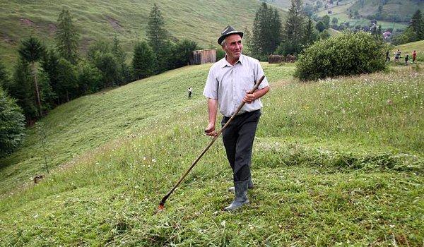 salajul-risca-sa-piarda-subventii-de-5-milioane-de-euro-pentru-ca-nu-are-pajistile-amenajate-corespunzator0_58253