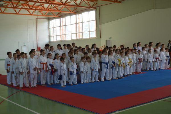 Salba de medalii pentru karateka simleuani la Cupa “Performantei”