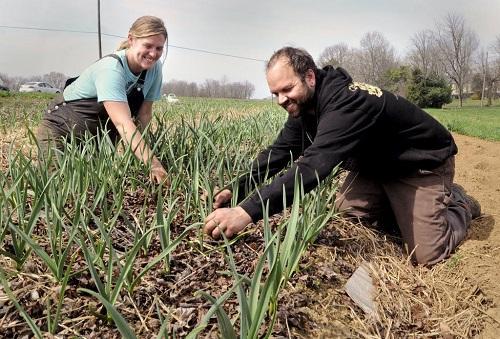 sansa-cresterii-pentru-fermierii-salajului-este-coorperativa-agricola0_58255