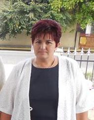 scandalul-politic-blocheza-administratia-la-surduc-si-pune-frana-proiectelor-pentru-dezvoltarea-comunei04_56328