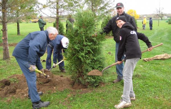se-cauta-voluntari-pentru-actiuni-de-impadurire-in-salaj03_55318