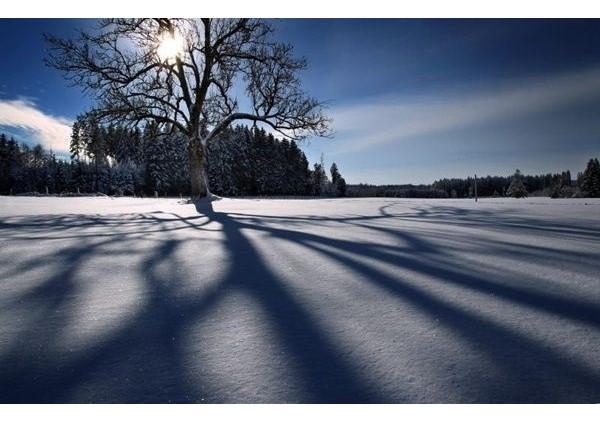 solstitiul-de-iarna-ziua-incepe-sa-creasca0_58113