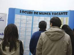 somajul-anunta-ca-in-judet-sunt-248-de-locuri-de-munca-vacante08_59212