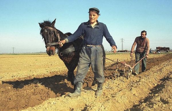 suntem-singurii-din-uniunea-europeana-care-nu-vom-primi-bani-pentru-agricultori-din-rezerva-comisiei-europene0_57858