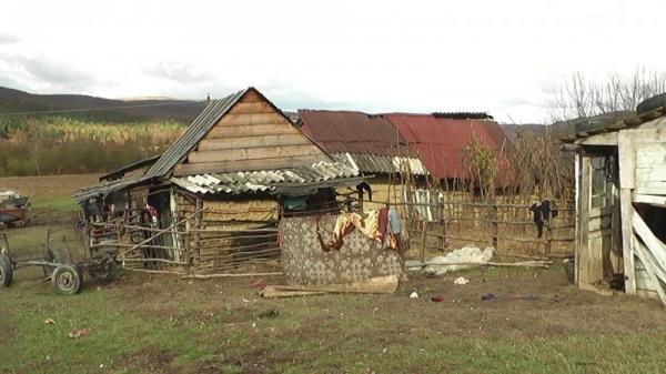 un-tanar-din-colonia-de-romi-din-lupoaia-batut-cu-biciul-un-barbat-de-61-de-ani-pana-cazut-la-pamant-si-i-a-furat-banii0_59606